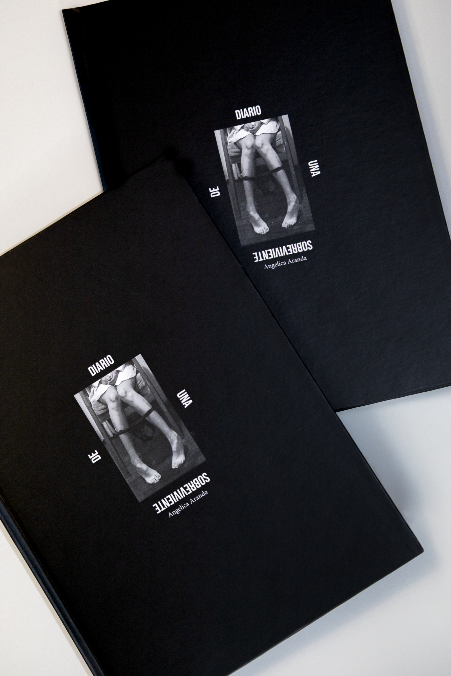 Diario de una sobreviviente / Angelica Aranda - Imagen 5