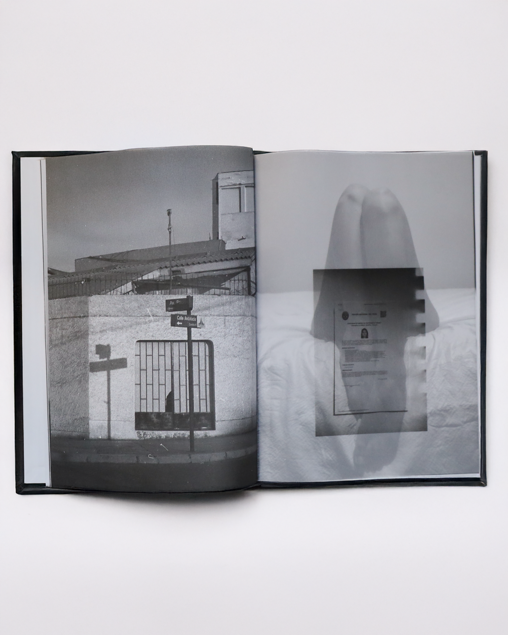 Diario de una sobreviviente / Angelica Aranda - Imagen 3