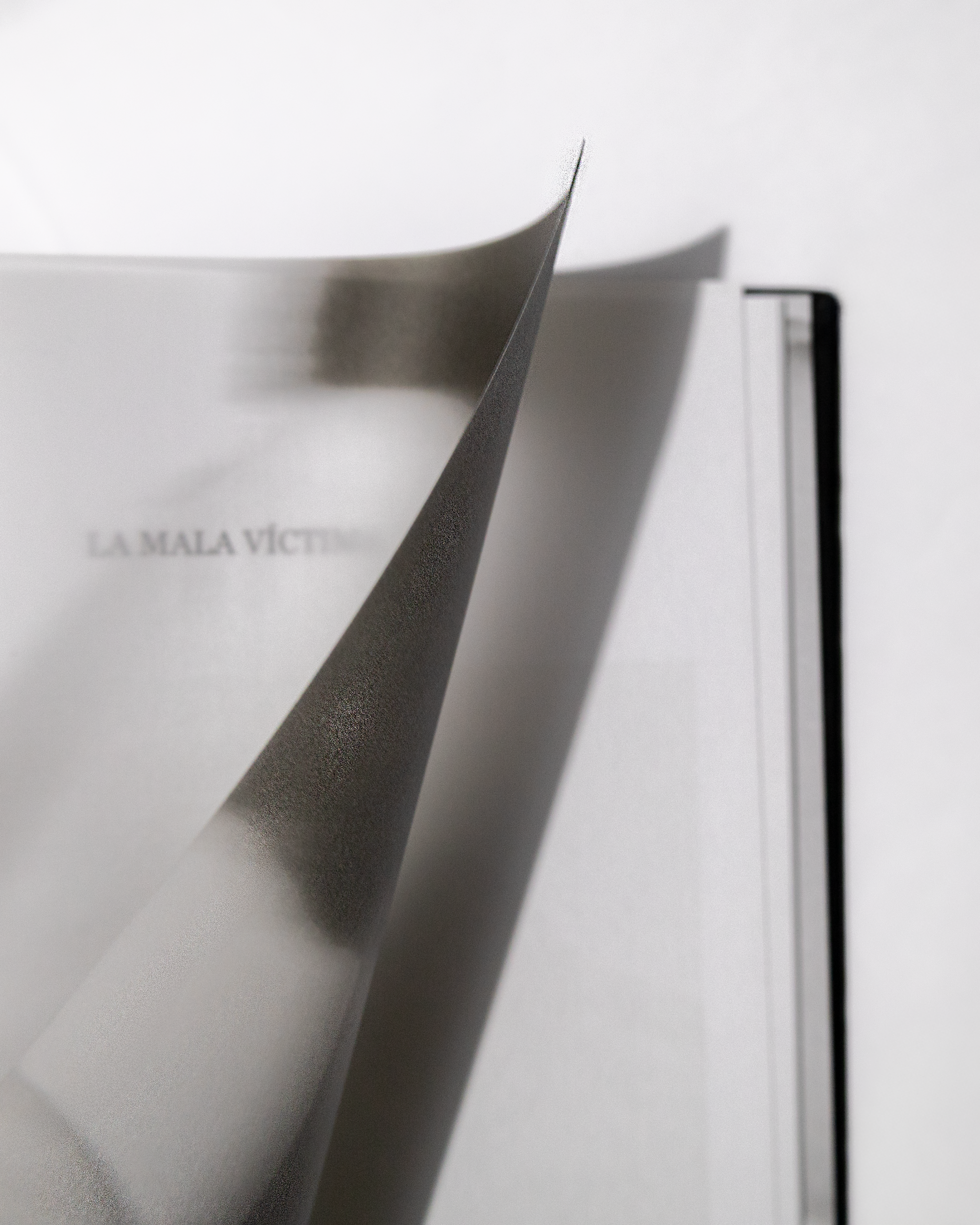 Diario de una sobreviviente / Angelica Aranda - Imagen 2