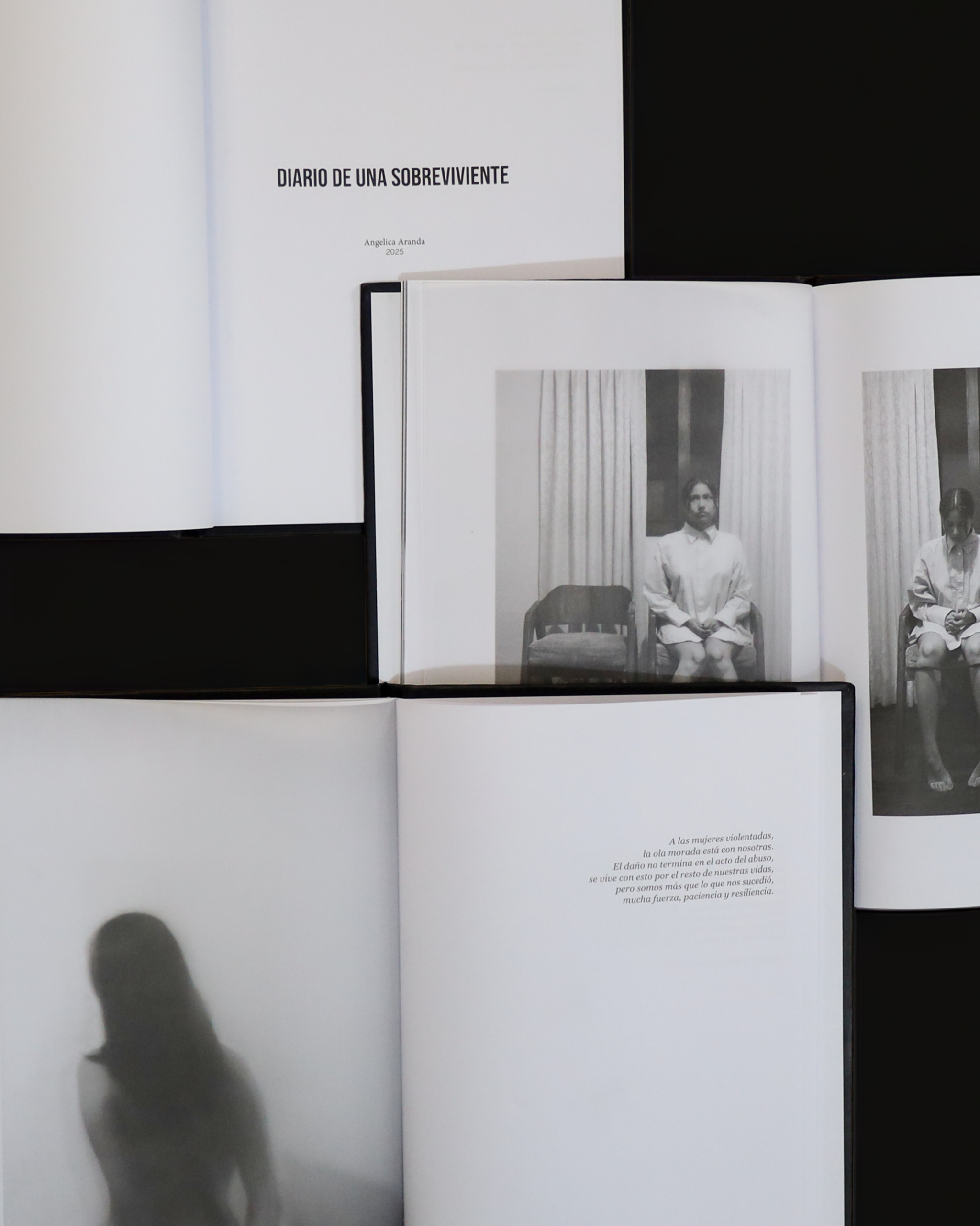 Diario de una sobreviviente / Angelica Aranda - Imagen 4